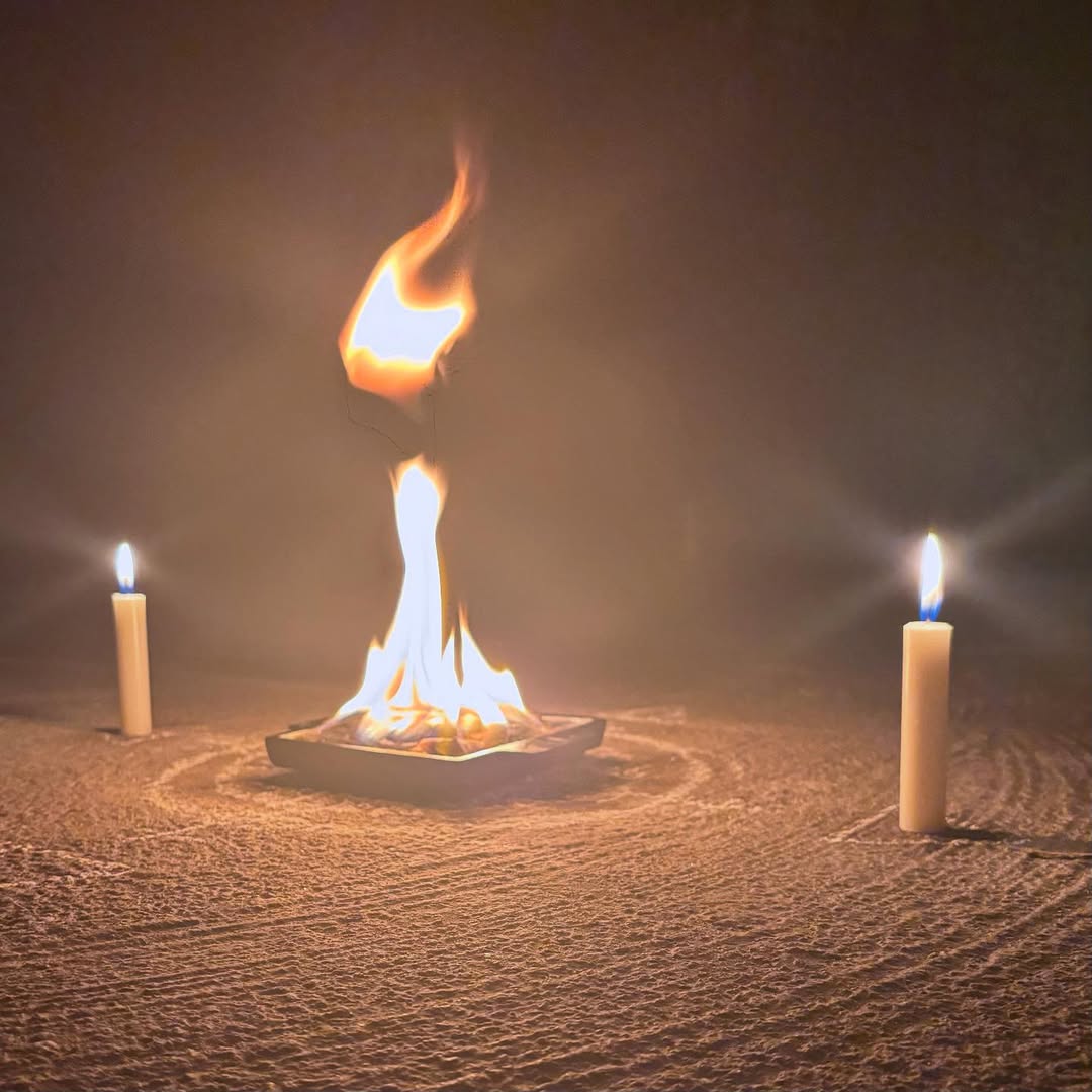 SnapInsta.to_517135061_17910618576170850_4039676264220934092_n